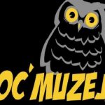 Noć muzeja u samostalnoj narodnoj knjižnici Gospić